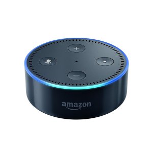 The Amazon Echo