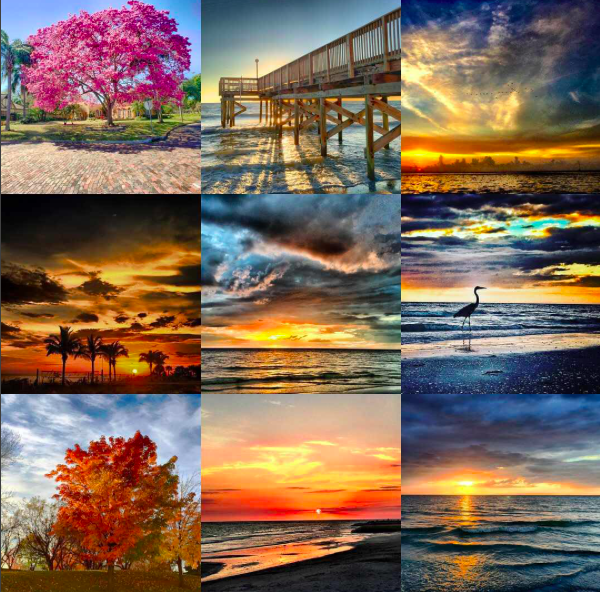 Instagram collage showing best nine images of 2016.